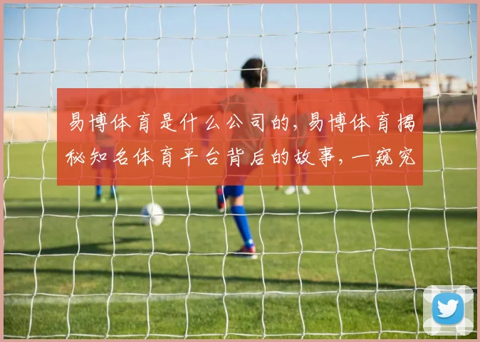 易博体育是什么公司的,易博体育揭秘知名体育平台背后的故事,一窥究竟